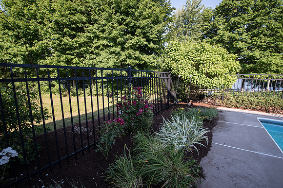 laurel brook-5918