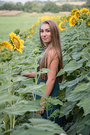 Lexi-0041