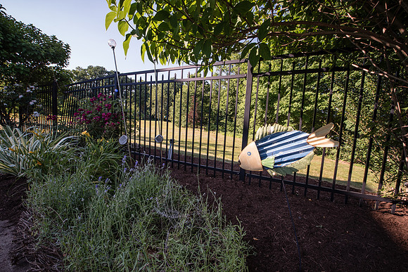 laurel brook-5917
