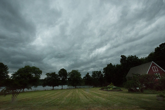 laurel brook-9321