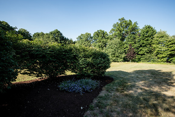 laurel brook-5896