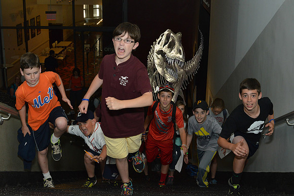 trexfun copy