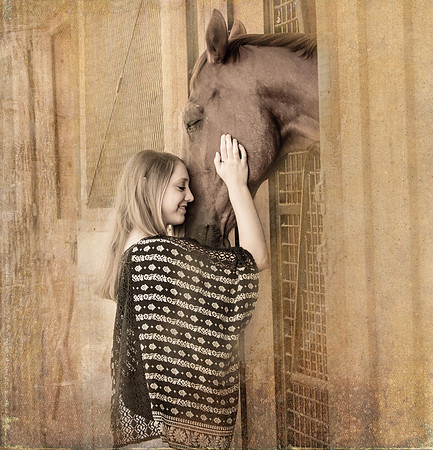jaimie horse