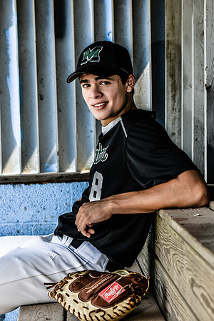 michael Gulino-
