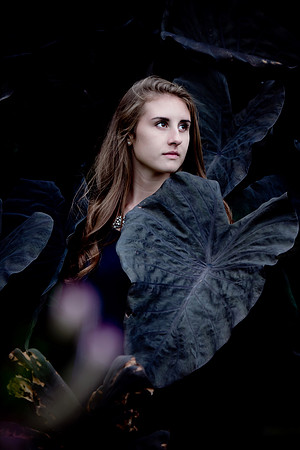 ashlyn12 copy
