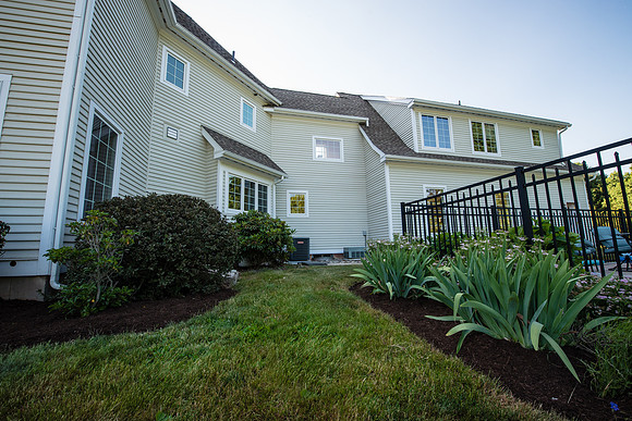 laurel brook-5922