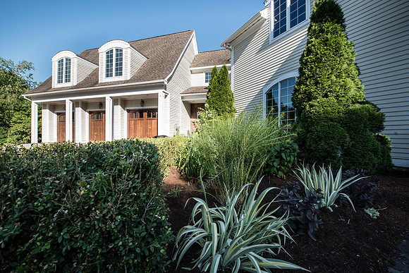 laurel brook-5892