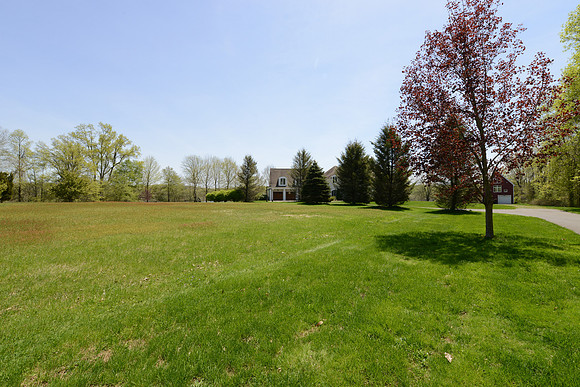 laurel brook-6640