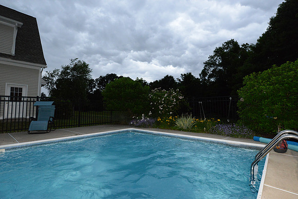 laurel brook-9314