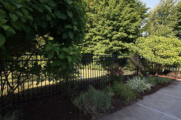 laurel brook-5919
