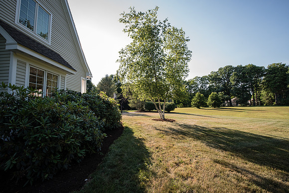 laurel brook-5925
