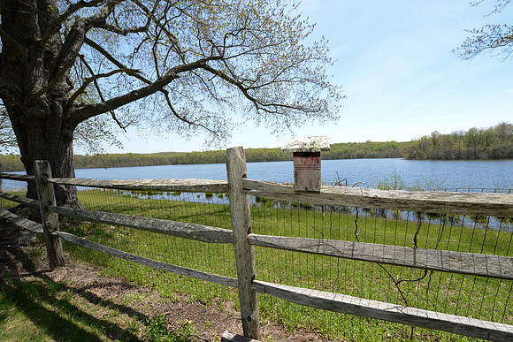 laurel brook-6606