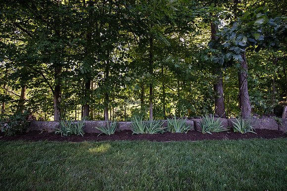 laurel brook-5904