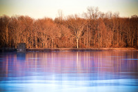 laurel brook-1810