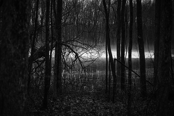 laurel brook-6418