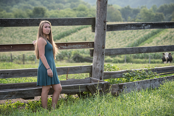 Lexi-9986