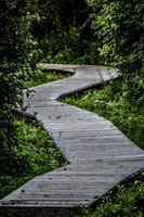 laurel brook-1289