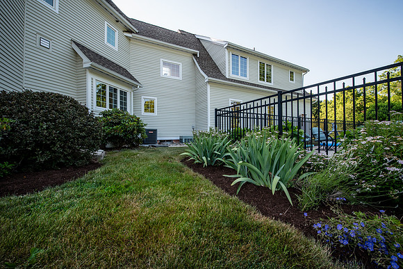 laurel brook-5921