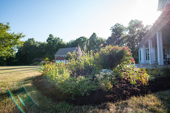laurel brook-5915