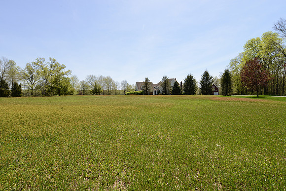 laurel brook-6641