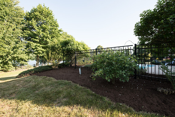 laurel brook-5926