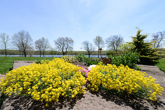 laurel brook-6596