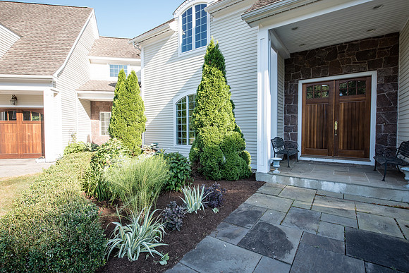 laurel brook-5889