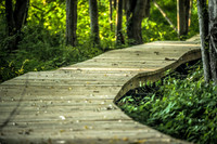 laurel brook-1290