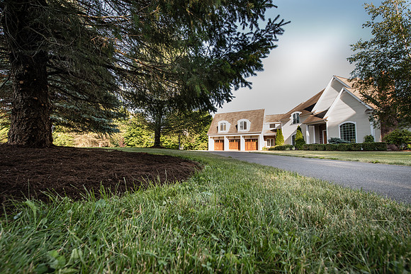 laurel brook-5903